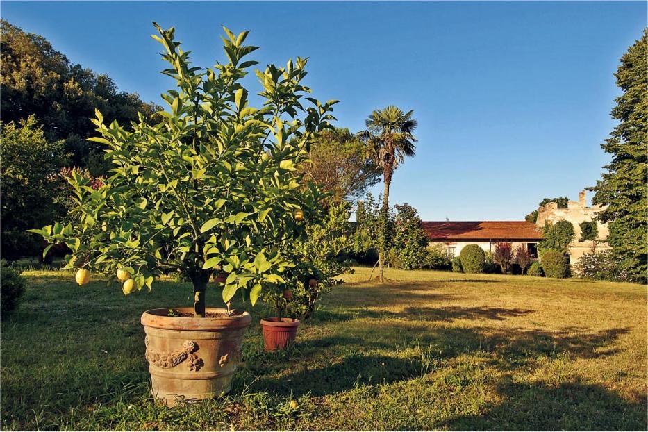 לוקה Fattoria Agriturismo Bigongiari מראה חיצוני תמונה